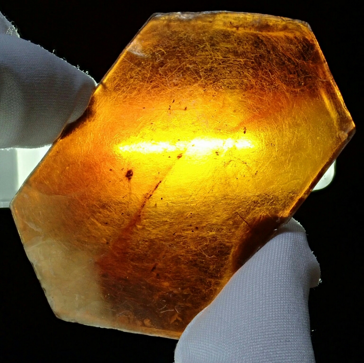 u255920225.6