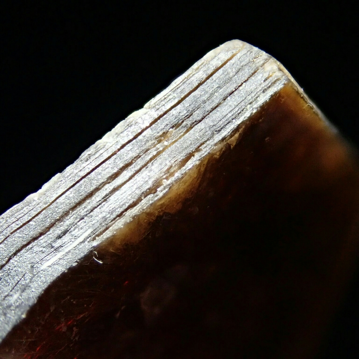 u255920225.7