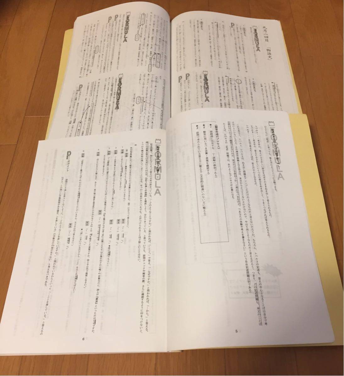 公式専門店 最新版 小6 国語 志望校別特訓問題集 9-12月 計2冊セット L 