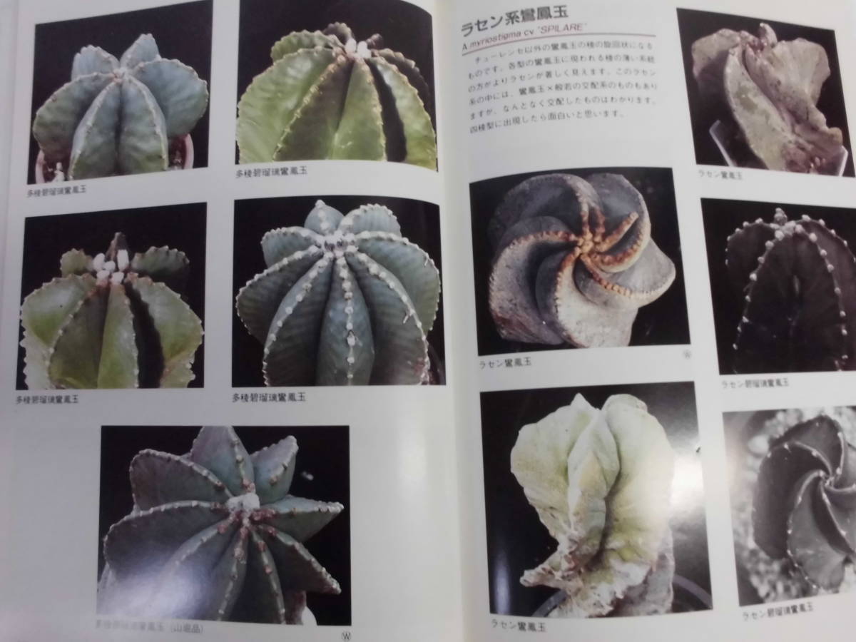 a2-5 【4冊セット】 「有星類ハンドブック」 1～4 佐藤勉 著 日本