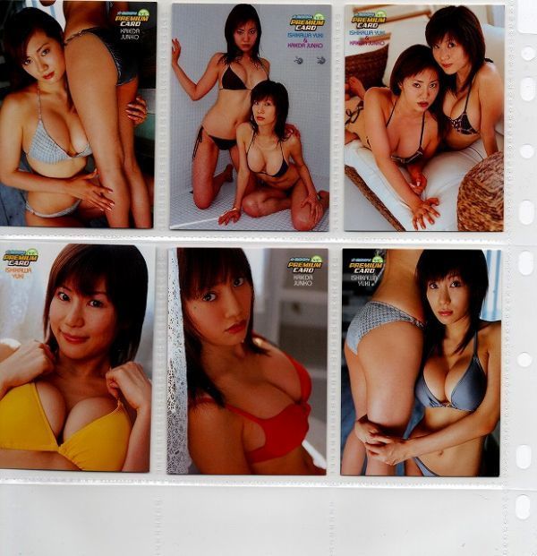 P36 Yc36 トレカ セット 石川夕紀 海江田純子 103 108 ヤングチャンピオン プレミアムカード 6枚コンプリート トレーディング あ行 売買されたオークション情報 Yahooの商品情報をアーカイブ公開 オークファン Aucfan Com