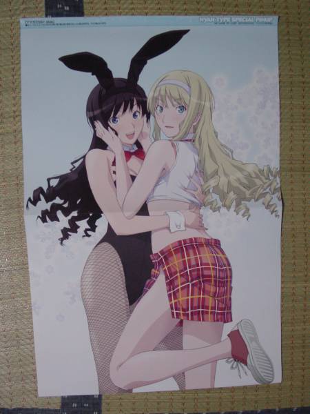 アマガミss 森島はるか 森島 セクシー ジェシカ バニーガール 氷菓 千反田える 制服 両面ピンナップポスター コミック アニメグッズ 売買されたオークション情報 Yahooの商品情報をアーカイブ公開 オークファン Aucfan Com