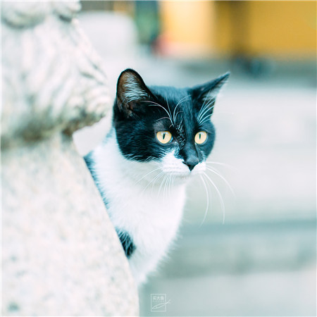 ★1円 即決 ★相互評価 ★ データ画像85 ★ 24時間以内対応 ★送料無料_1