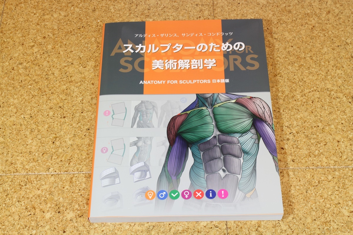 スカルプターのための美術解剖学