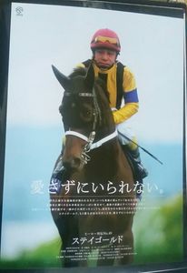 ステイゴールド ヒーロー列伝 JRA クオカード 非売品