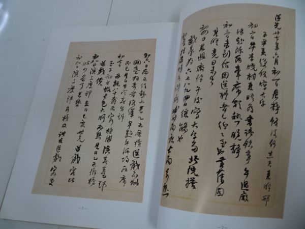 ☆何紹基書種竹日記・上海書店出版社/中文書/書道/中国書道/書画/資料