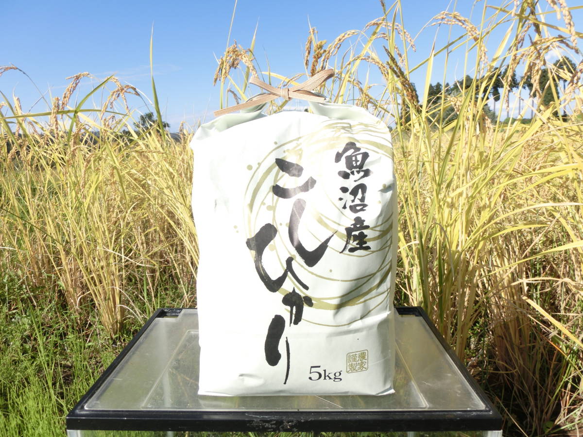 公式通販 魚沼産コシヒカリ 平成30年魚沼産コシヒカリ津南米産 | 30kg 