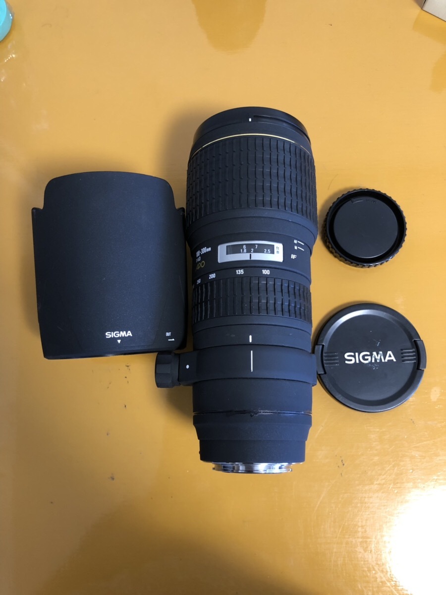 SIGMA EX 100-300mm 1:4D APO IF ソニー Sony用 シグマ ミノルタ