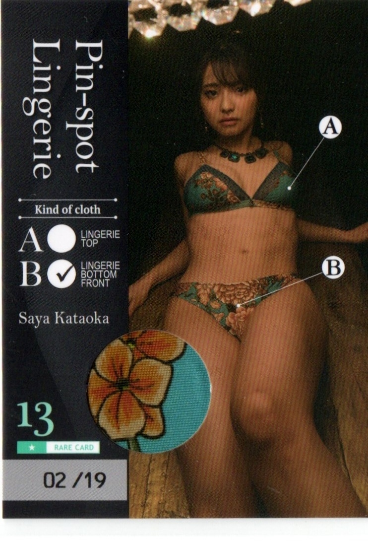 全国無料，大得価 ヒッツ 片岡沙耶2 ピンスポランジェリーカード13 パンティフロント シリアル 2/19 トレーディングカード(か行)｜売買されたオークション情報、yahooの商品情報をアーカイブ公開 - オークファ か行