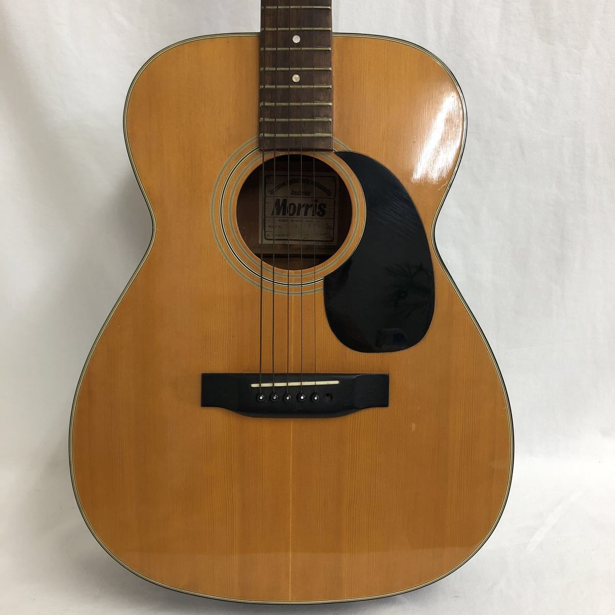 F-15 モーリス Morris アコースティックギター | MORRIS Guitar 