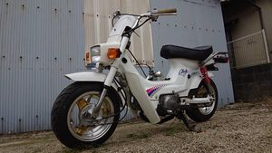 角目 シャリーのYahoo!オークション(旧ヤフオク!)の相場・価格を見る