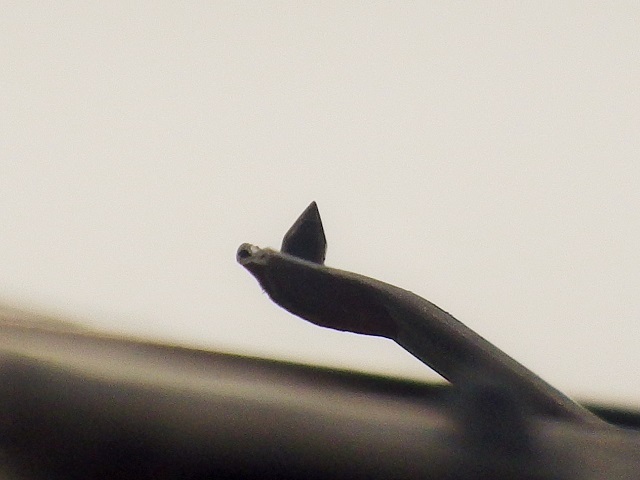 オーディオテクニカ ATN15Ea / 新品 交換針 / 夏の大感謝セール実施中!! / audio-technica / AT15 シリーズ / AT15E AT15Ea AT15Sa_10