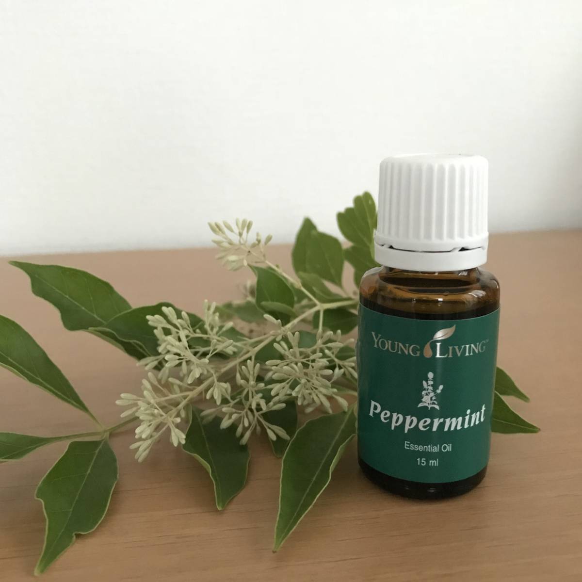 ☆ヤングリビング☆ペパーミント15ml☆エッセンシャルオイル
