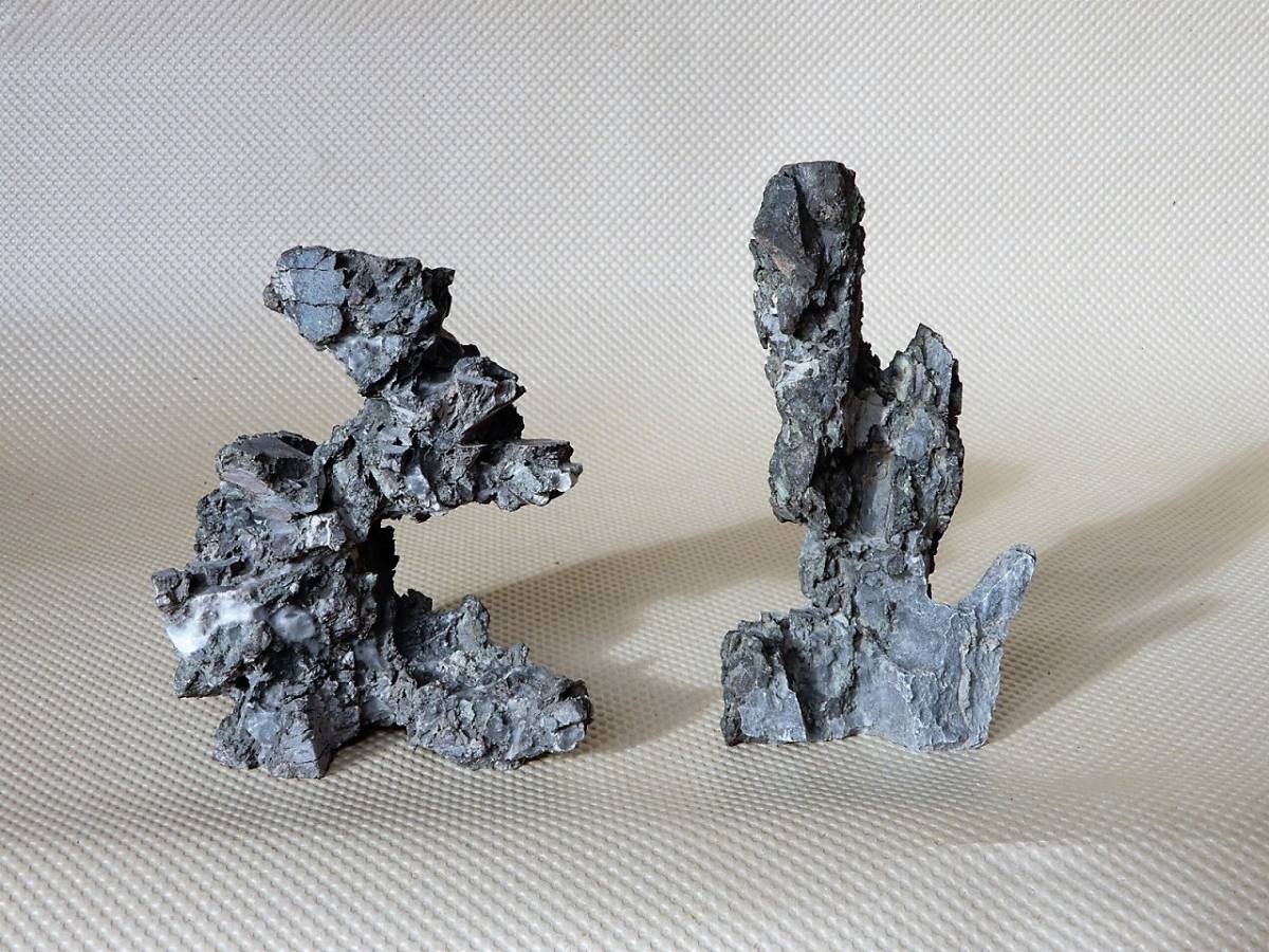 Yahoo!オークション - 龍眼石 竜眼石 揖斐川石 創作盆栽 石付盆栽 小品