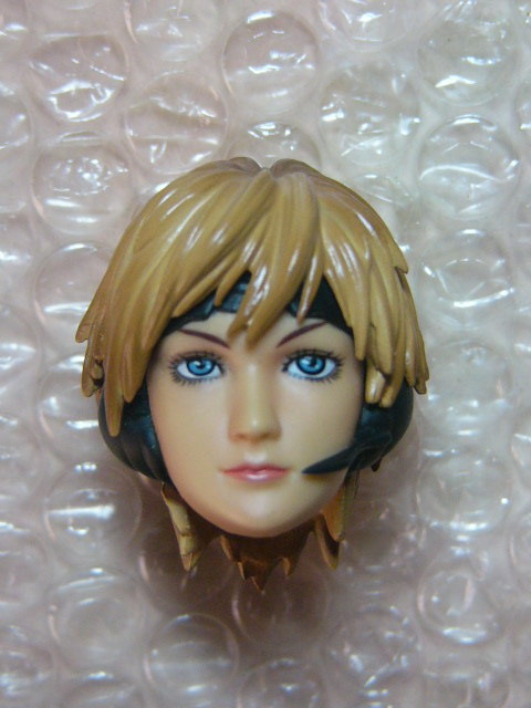 人気，新作 レア 稀少 ホットトイズ 1/6 アップルシード サーガ エクスマキナ デュナン ナッツ ヘッド カスタム用(クールガール)｜売買されたオークション情報、yahooの商品情報をアーカイブ公開 - オー クールガール