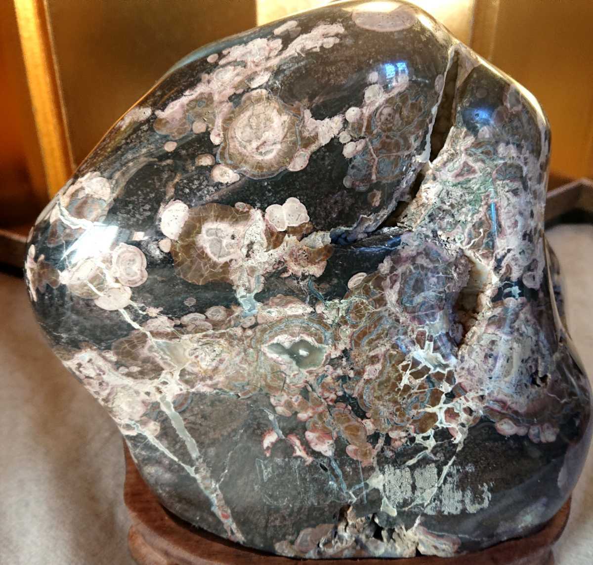 鑑賞石 菊花石 Yahoo!オークション - 梅花石 水石 岐阜県根尾谷産 瑞菊花
