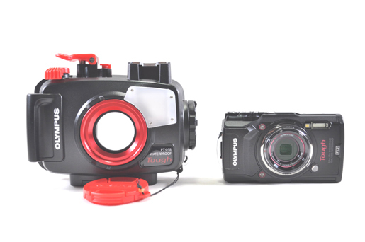  OLYMPUS Tough TG-5 ブラック ＋PT-058防水プロテクター セット(スキューバダイビング)｜売買されたオークション情報、yahooの商品情報をアーカイブ公開 - オークファン その他