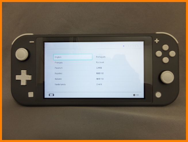 Switch Lite Nintendo HDH-S-GAZAA | Console eBay Gray NEW Japan