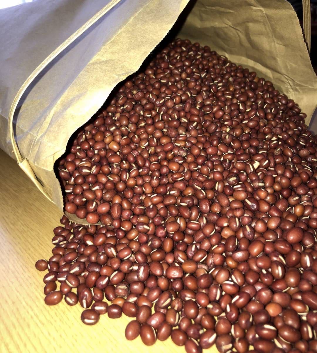 北海道道東産　天然行者ニンニク　2キログラム 天然 行者にんにく 約2kg：開始価格3，000円 北海道道東 No6 天然 行者