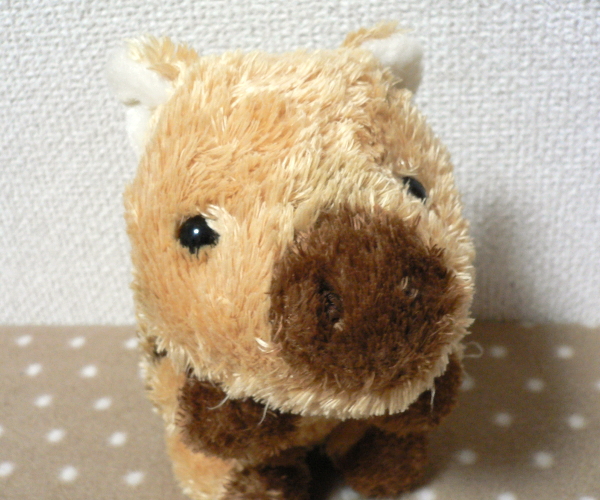 Auroraオーロラ うり坊の可愛いぬいぐるみ イノシシ その他 売買されたオークション情報 Yahooの商品情報をアーカイブ公開 オークファン Aucfan Com