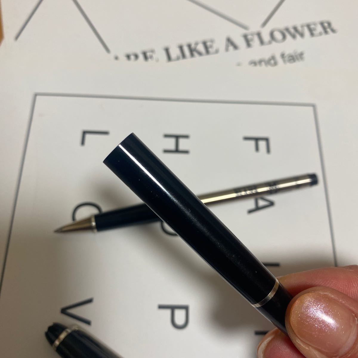 MONTBLANC 【モンブラン】 ローラーボール スターウォーカー レジン