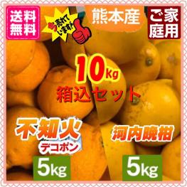 【お買い得】【送料込】熊本県産☆不知火デコポン5キロ箱河内晩柑5キロ箱計10キロ箱セット☆減農薬 不知火 デコポン 訳あり （15玉から22玉入）デコポンと同じ品質 家庭用 濃厚な甘味