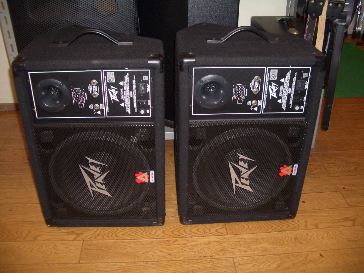 HOT，新作登場 PEAVEY 112PM パワード300W 2本セット