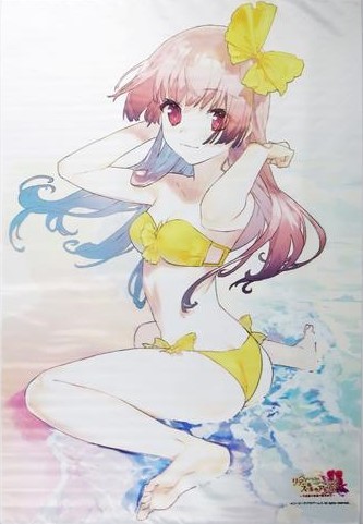 希少！『リディー＆スールのアトリエ ～不思議な絵画の錬金術士～ NOCO