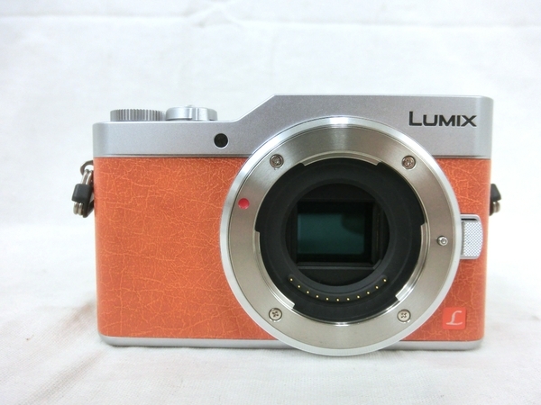 良好 Panasonic LUMIX DC-GF9W ダブルレンズキット カメラ レンズ 4K