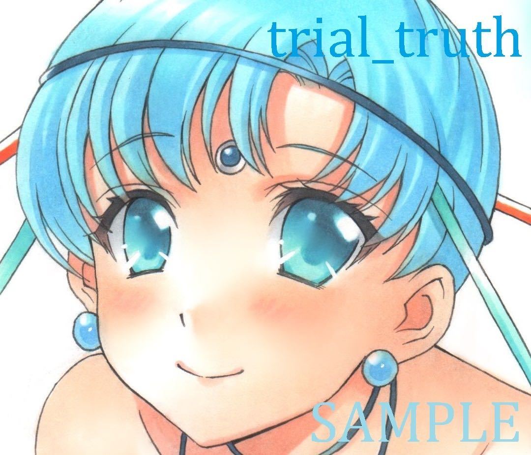 同人手描きイラスト セラムン セ ラ ム ン アマゾネス カルテット パラパラ 手描きイラスト 売買されたオークション情報 Yahooの商品情報をアーカイブ公開 オークファン Aucfan Com