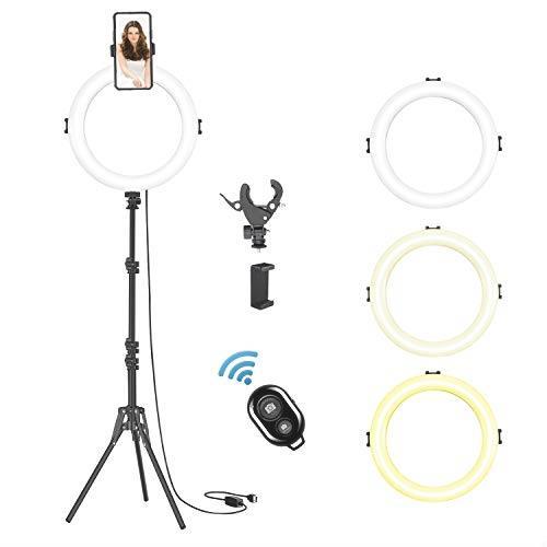 2026年最新Yahoo!オークション シュミット・イッセルシュテット・ディスコグラフィ 発売ハンス Quadro [DVD] 仏陀再誕 ワーグナー管弦楽曲集Vol.1 カラヤン -オルガン曲集の中古品・新品・未使用 高品質 英EMI ASD クープラン:オルガン作品全集 &frasl; Marie-Claire パイプオルガンに癒されて