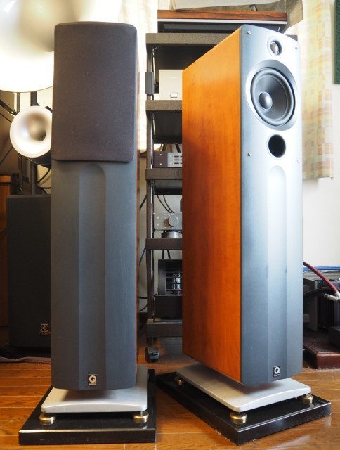 DENON アンプ内蔵型スーパーウーハー DSW-5L シルバー 家電、AV