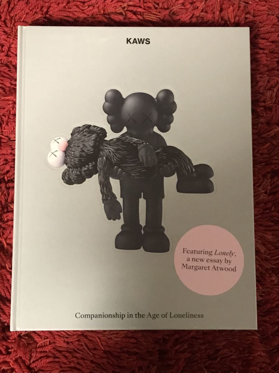 KAWS NGV ビジュアルブック 日本未発売 カウズ 作品集 KAWS カウズ