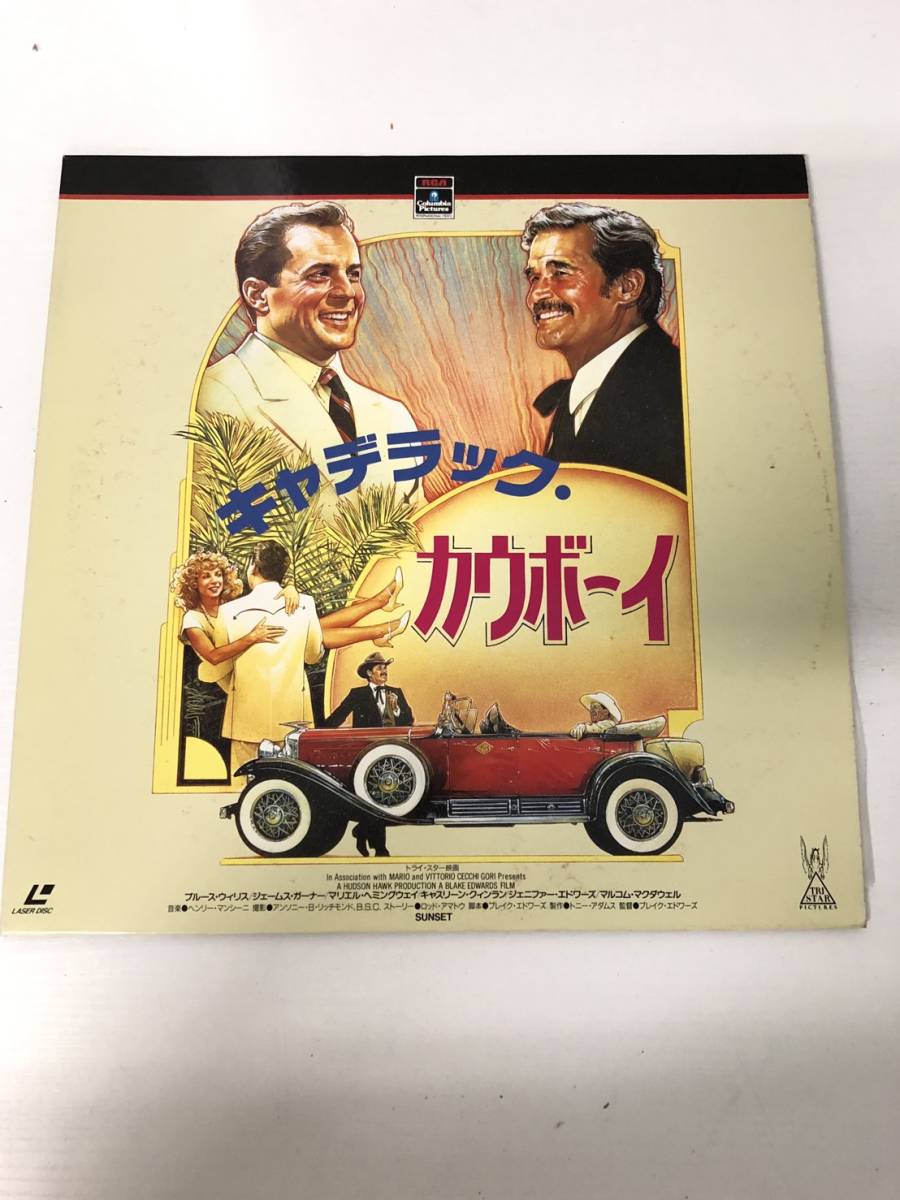 レーザーディスク 柔らかい 洋画/洋楽/邦楽・まとめ売り15枚セット