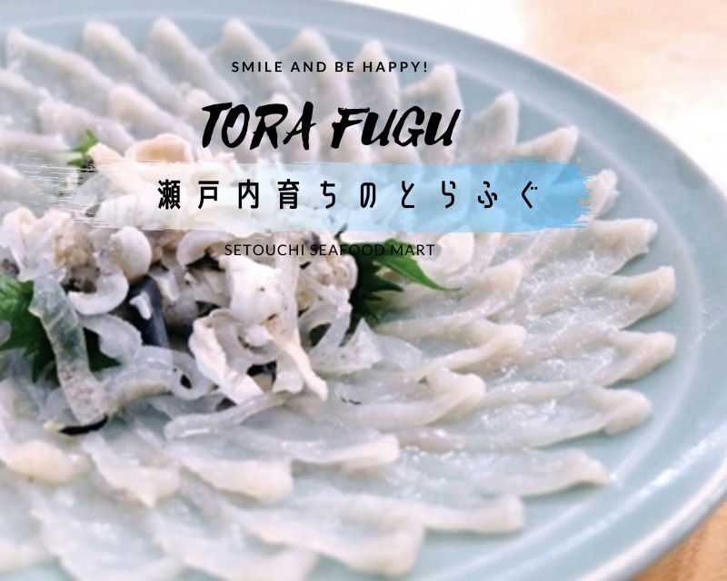 四季の花丸紋 FOURGRACEオリジナル 柿朱 ｜ 四季折々の 雑煮椀 新春初売りセール 恒例！ 2024.1.1あけましておめでとうございます！！ | 真珠の街神戸～真珠の生産減少の中冠婚葬祭にも最適、稀少あこや大珠 6000円～8000円のランチビュッフェを予約 ♥お買い得セールサイズが合えばお買い得☆(送料無料)♥️(フラメンコ 食洗機対応 : ビバ
