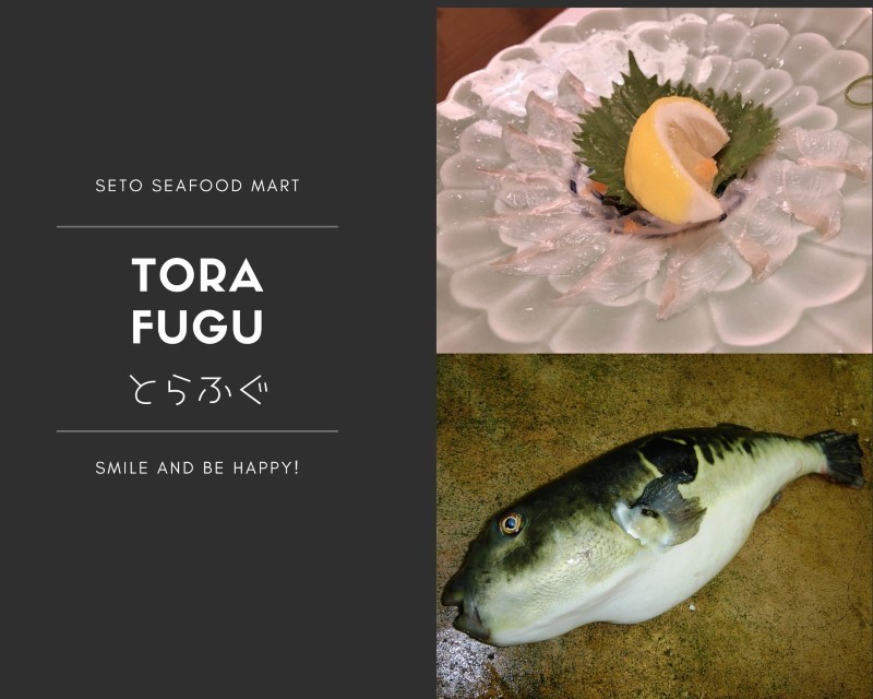 四季の花丸紋 FOURGRACEオリジナル 柿朱 ｜ 四季折々の 雑煮椀 新春初売りセール 恒例！ 2024.1.1あけましておめでとうございます！！ | 真珠の街神戸～真珠の生産減少の中冠婚葬祭にも最適、稀少あこや大珠 6000円～8000円のランチビュッフェを予約 ♥お買い得セールサイズが合えばお買い得☆(送料無料)♥️(フラメンコ 食洗機対応 : ビバ