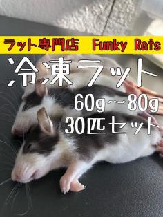 冷凍ラット20匹セット 冷凍ラット 20匹セット 60g～80g 1円スタート冷凍ラット 50匹セット 60