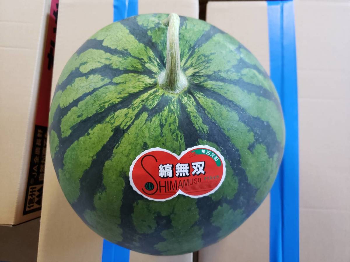 信州産 スイカ 大玉縞無双HG 約12、9キロ 超特大 スイカ 15 信州産 