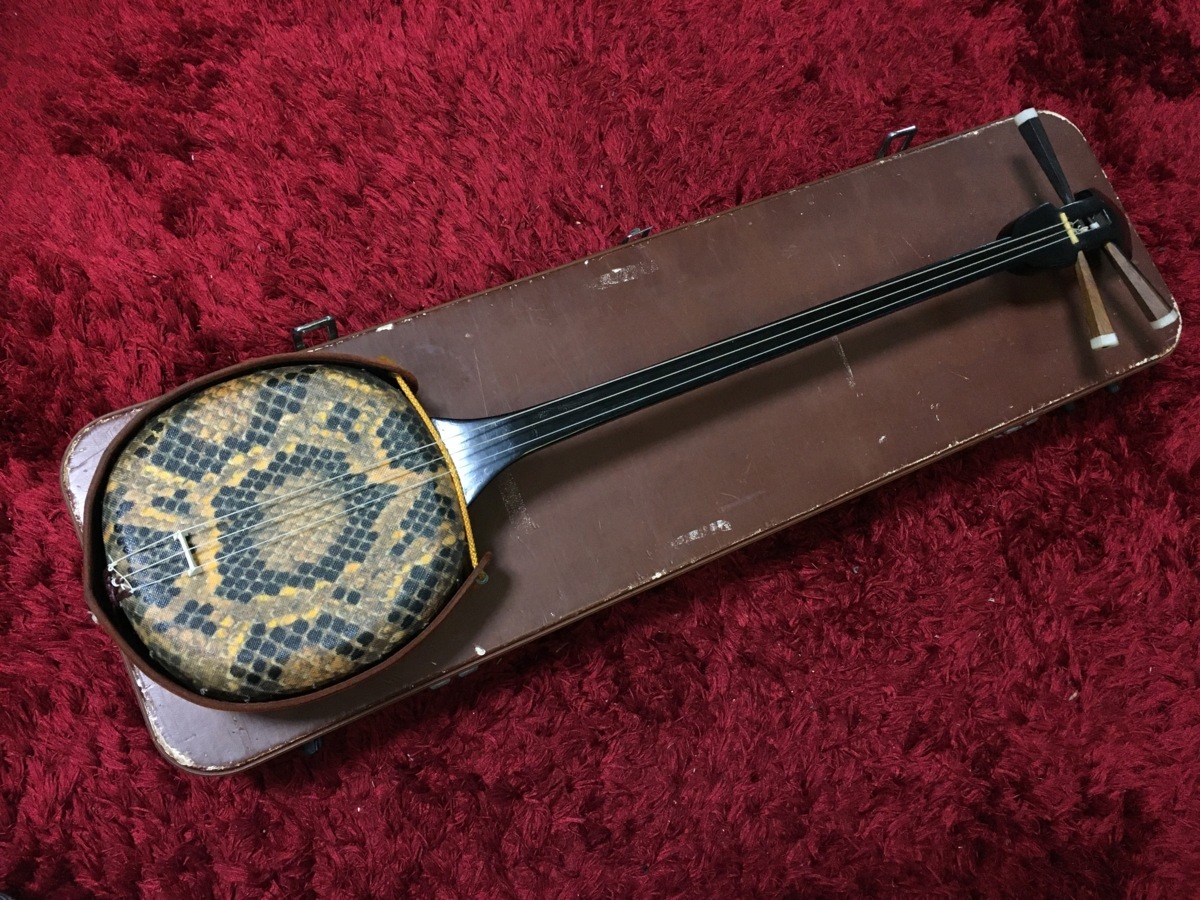 三味線 駒 ハードケース 和楽器 機材 伝統楽器 雅楽 和モノ 初心者 