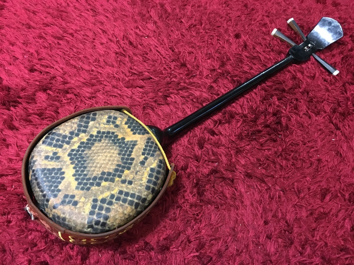 三味線 駒 ハードケース 和楽器 機材 伝統楽器 雅楽 和モノ 初心者 