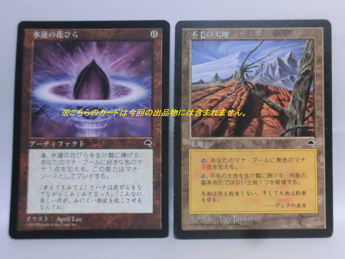 mtg 4版 黒枠 中国語 まとめ 【公式通販】