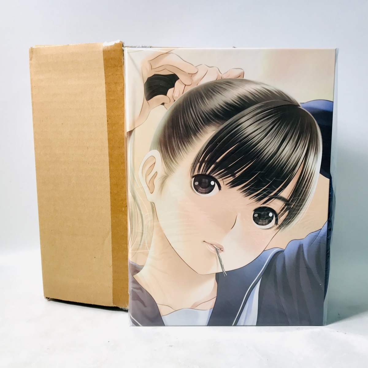 ラブプラス Art Book Complete Box Rinko LOVEPLUS メルカリ - KONAMI