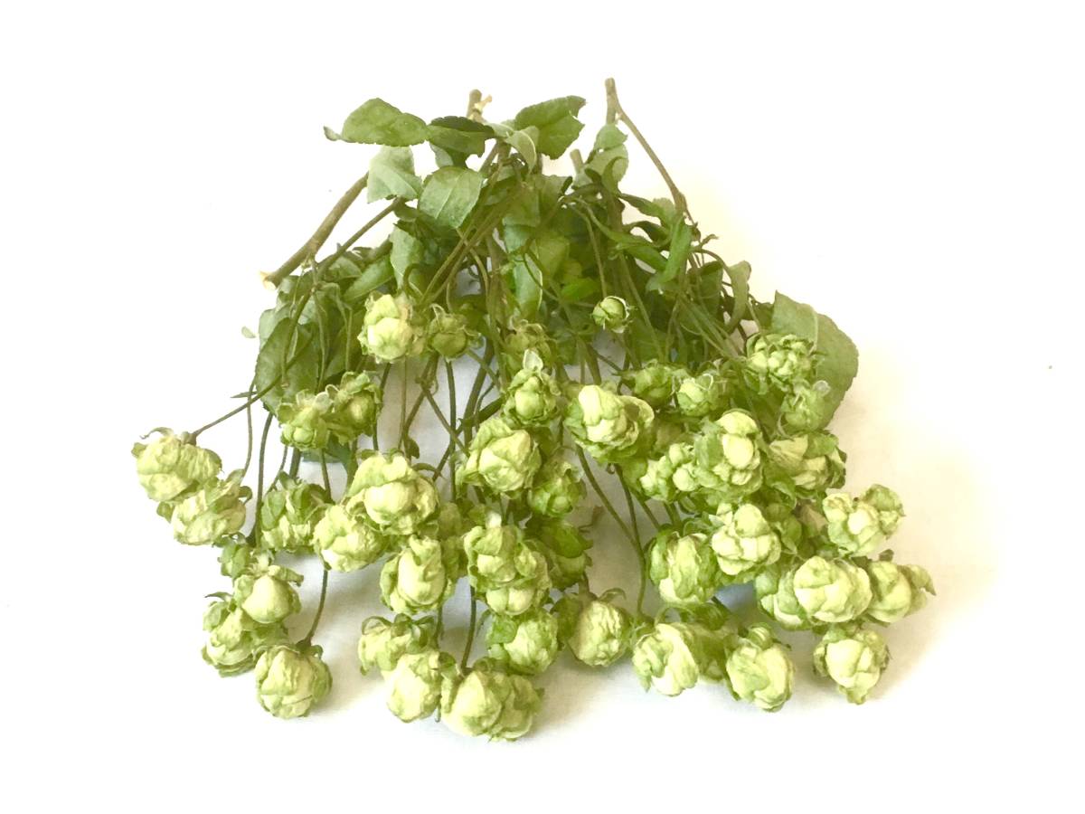 バラのドライフラワー 15輪セット エクレール リース ポプリ ハーバリウムなどに 一般 売買されたオークション情報 Yahooの商品情報をアーカイブ公開 オークファン Aucfan Com