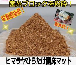 新作，人気SALE 80L入り 菌糸ブロック粉砕 ヒマラヤひらたけ菌床マット クワガタ幼虫巨大化 瓶に詰めるだけ 抜群の栄養価 オオクワ ヒラタ ニジイロ(マット、床材)｜売買されたオークション情報、yahooの商 マット、床材