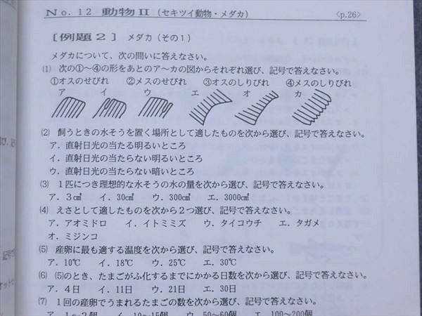 NB88-033 浜学園 小6 最高レベル特訓 理科 風/林/火/山の巻 2017 計4冊
