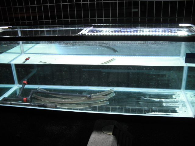 引き取り限定！　120×45×45cmガラス水槽一式 売切り！！ガラス 120×45×45水槽！！発送できます！！ 【公式通販】