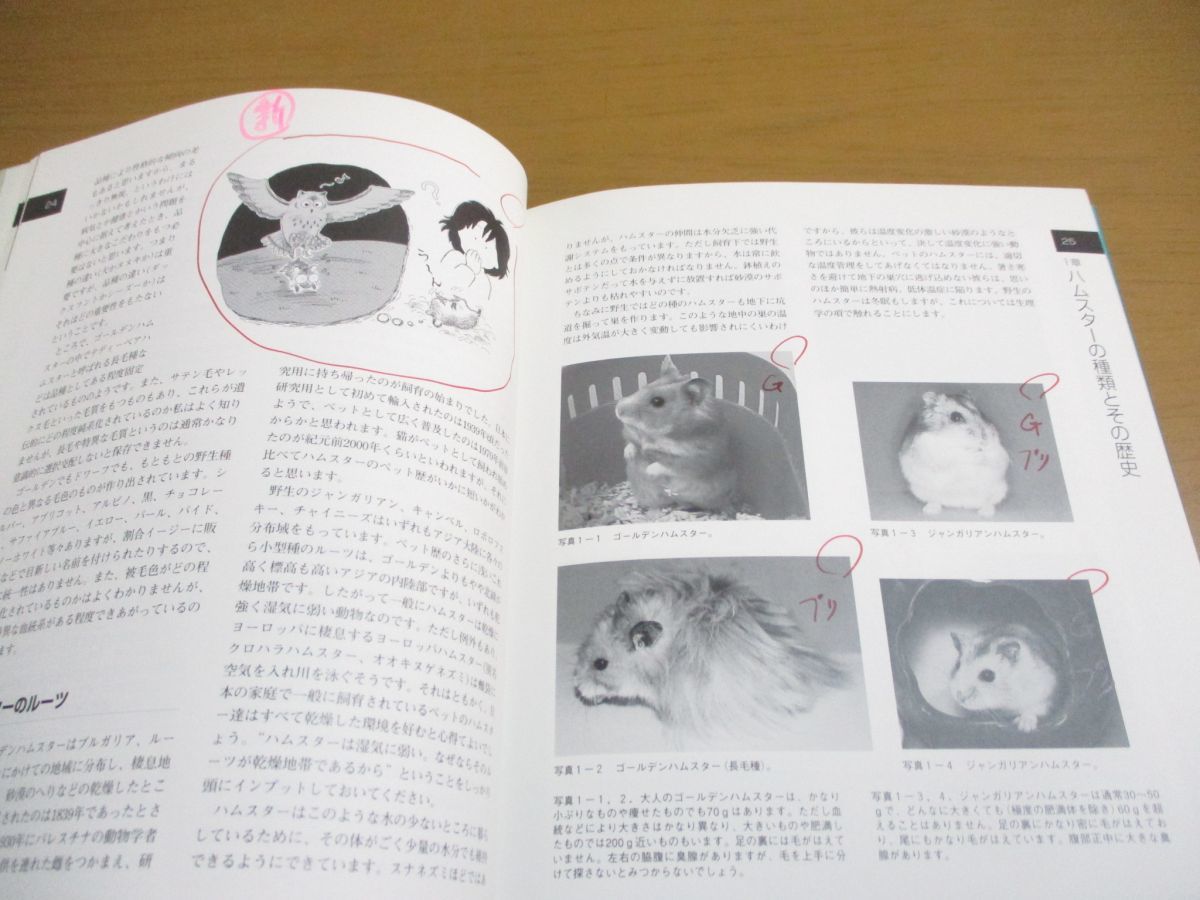 天と小口に少々シミ有「中古」Mathematics Unlimited 2001 and Beyond 
