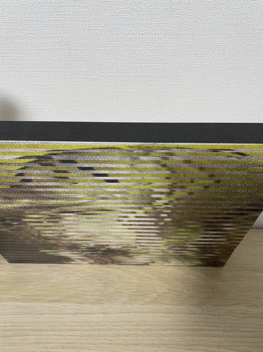 超希少】【直筆サイン入り原画】河村康輔 black market #3 Kosuke