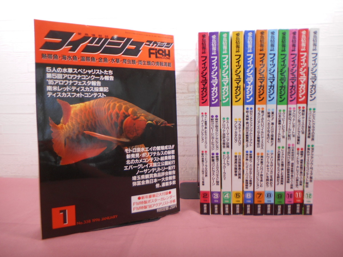 フィッシュマガジン 2026年最新Yahoo!オークション -フィッシュ