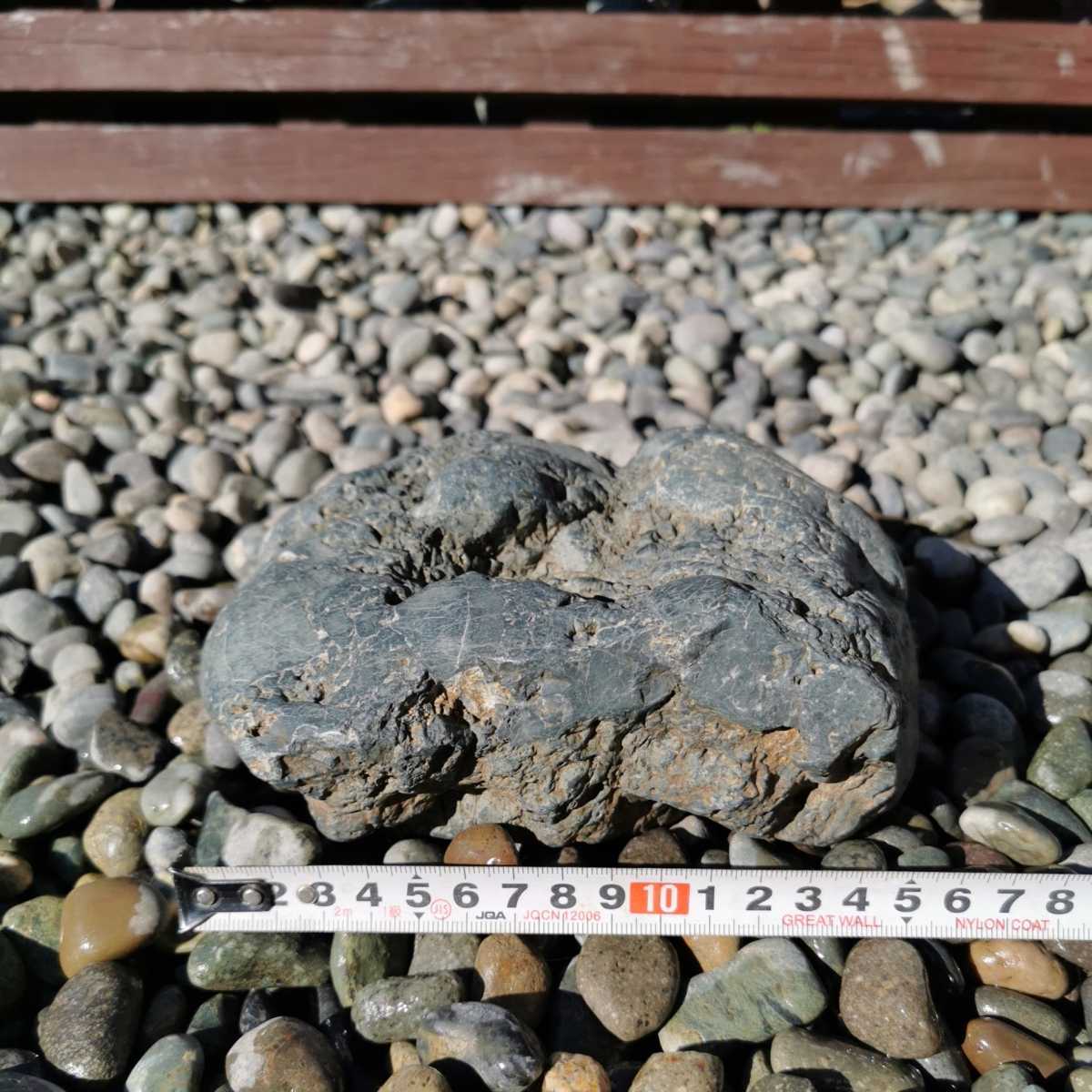 鞍馬石　蹲　48.6キロ　庭石　鑑賞石　石　庭　坪庭　砂利　和 鞍馬溜まり石 荒川産溜まり石2.7キロ 庭石鑑賞石坪庭盆栽灯籠 天然石